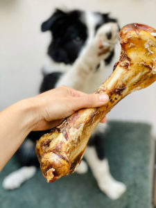 The Best Ostrich Bones for Dogs